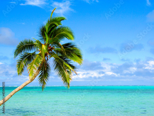 Coconut palm over azure blue water of a paradise island - Huahine, Polynesia, South Pacific... © Daguimagery