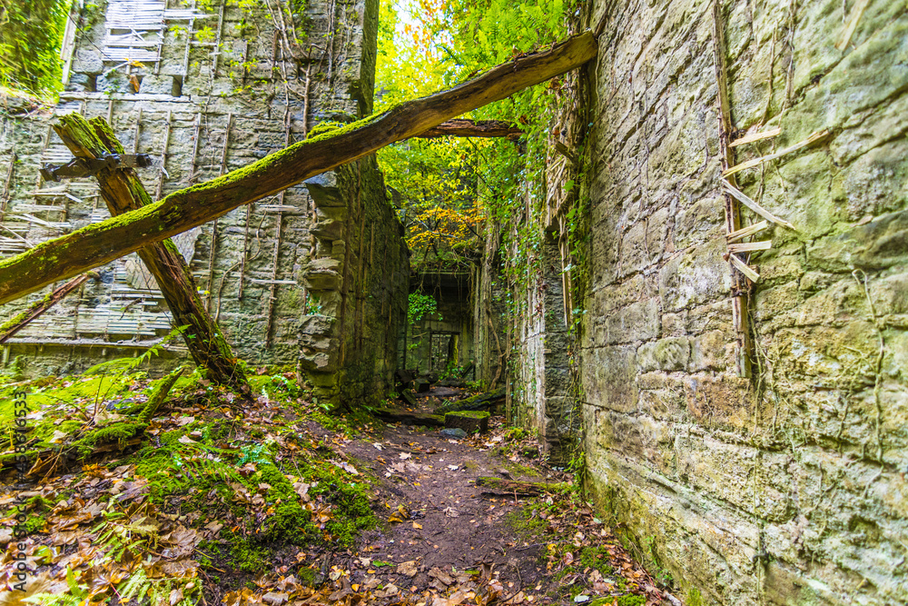 ABANDONED Buchanan Castle ruined country house in Stirlingshire