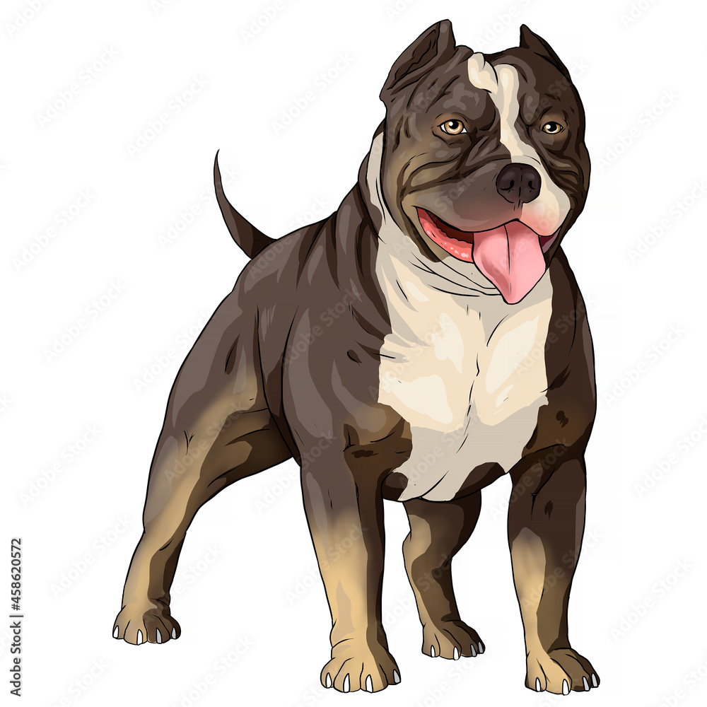 pitbull american bully dog draw