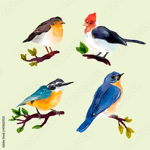 collection watercolor autumn birds vector design illustration