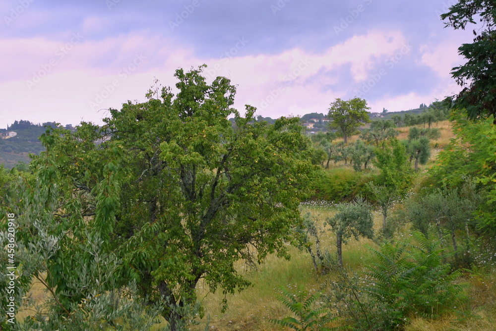 Liebliche Landschaft des Chianti bei Panzano