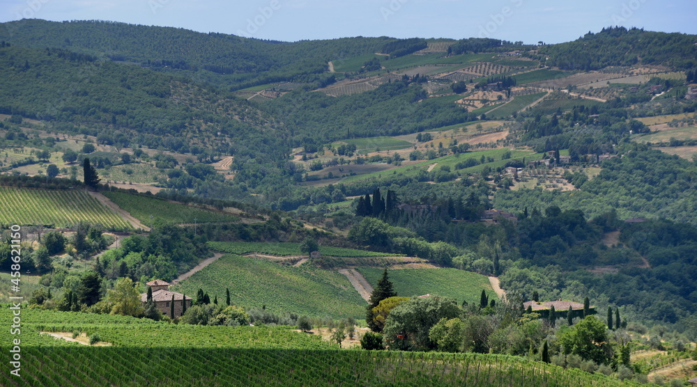Liebliches Tal mit Weinstöcken bei Panzano