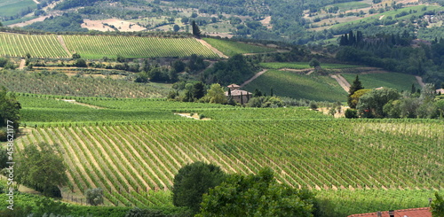 Weinberg im malerischen Chianti bei Panzano