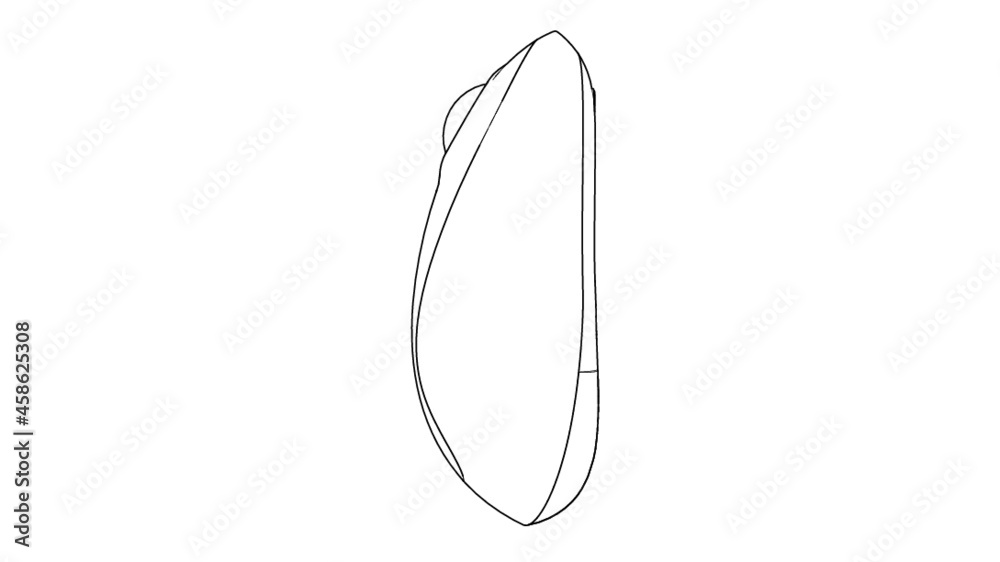 Computer Mouse Computer Mouse