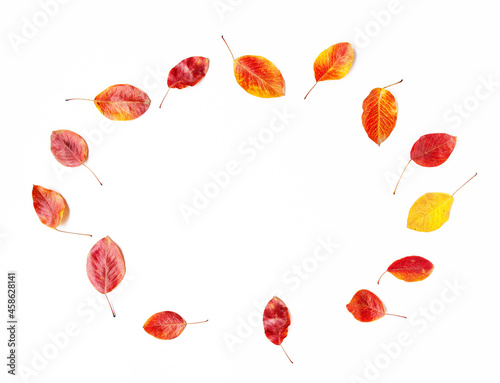 Top view flat lay of yellow, red and orange autumn leaves in circle on white background. Warm color template leaf fall concept with copy space