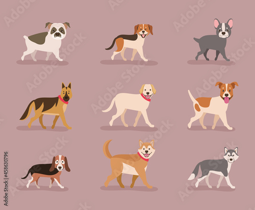 nine dogs mascots