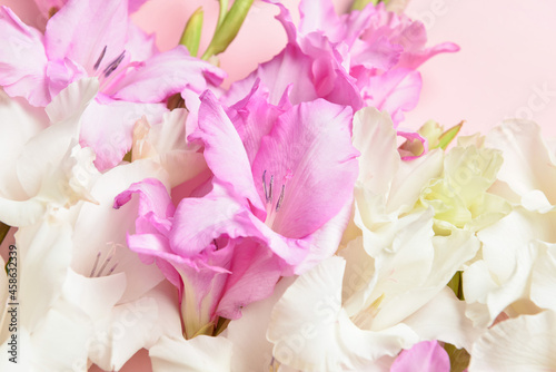 Beautiful gladiolus flowers on color background, closeup
