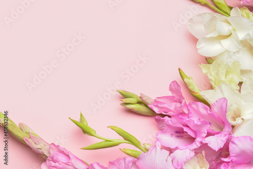 Beautiful gladiolus flowers on color background, closeup