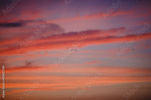Fototapeta Naklejka Na Ścianę i Meble -  Red clouds after sunset. Beautiful sunset.