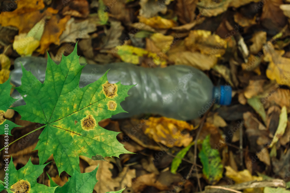 Naklejka premium Environmental pollution. Plastic bottle in the forest in the fallen yellow foliage in autumn. concept of nature protection and ecology.