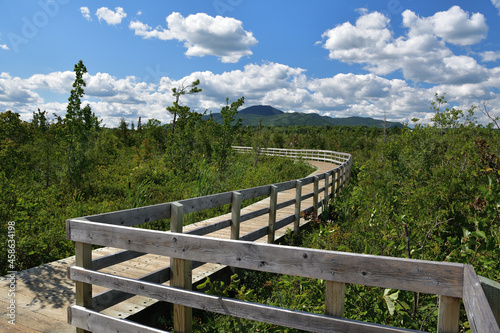 Cherry River wooden boardwalk across marshland photo