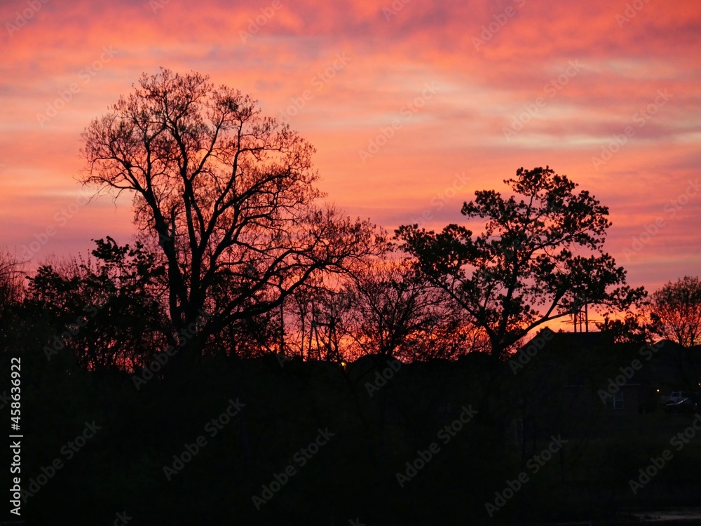 Fiery sunset skies silhouetted against the trees Fiery sunset skies silhouetted against the trees