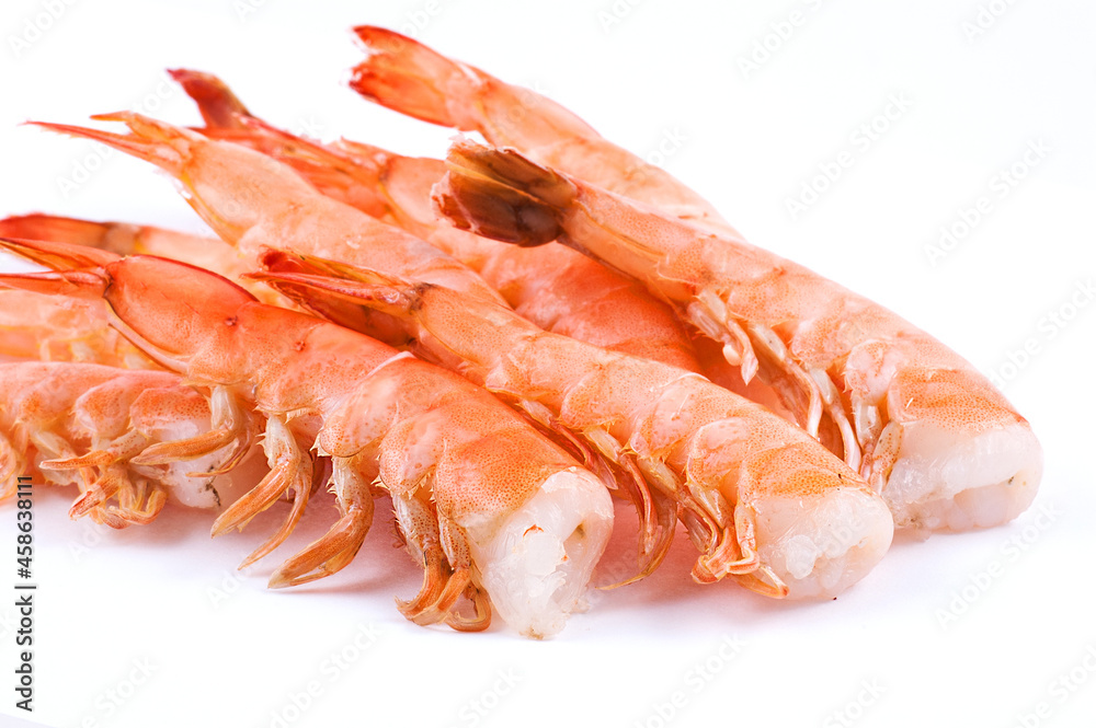Tiger shrimp isolated on white