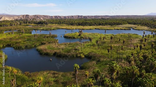 Wallpaper Mural Aerial: tropical lagoon oasis in Mexico desert, 4K drone landscape Torontodigital.ca