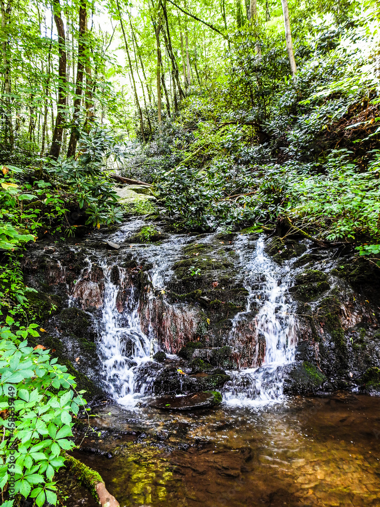 Obraz premium waterfall in the forest