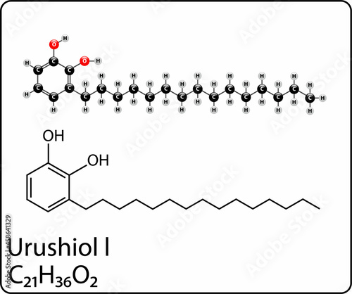 diagram of the urushiol molecule
