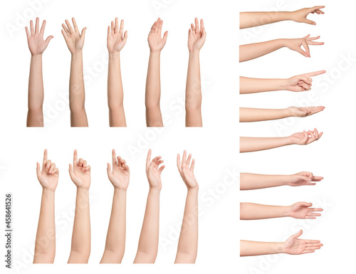 Set of Young woman hands isolated on white background.