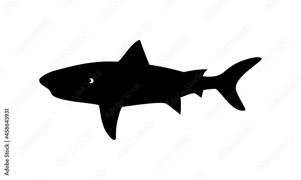 Fototapeta premium shark fish vector