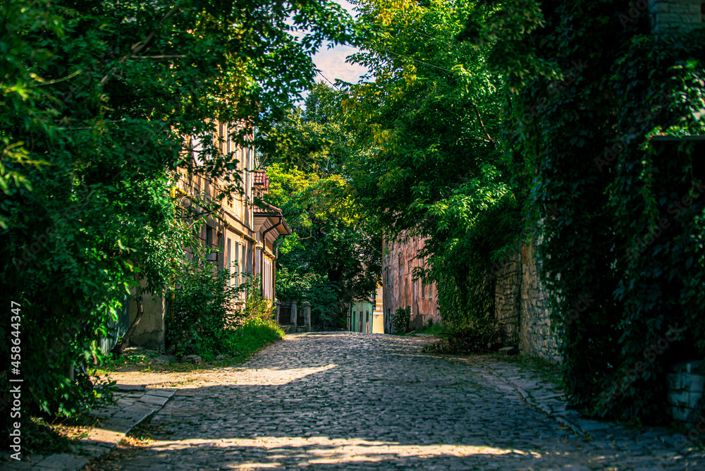 Obraz premium path in the park