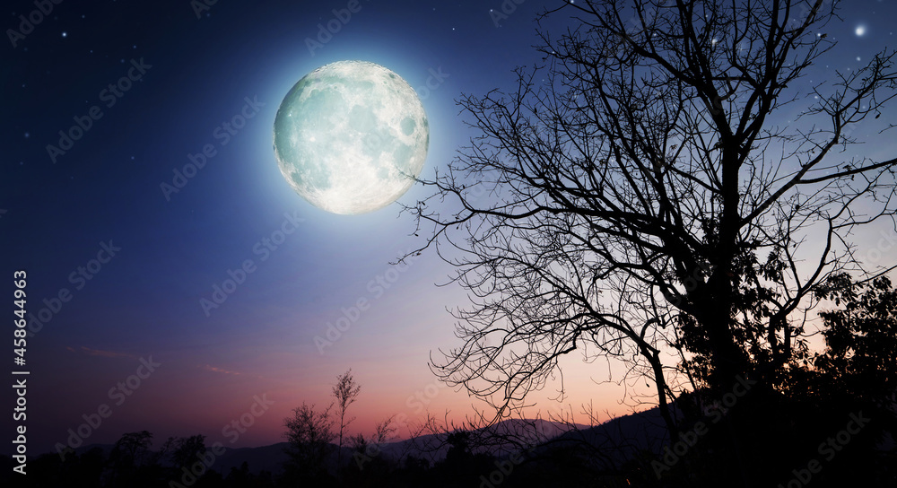 Fototapeta premium Full moon in night sky.
