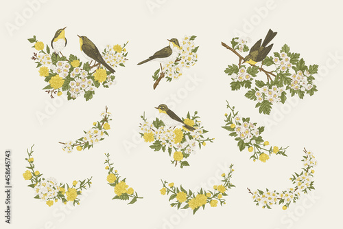 Set with birds and flowers.