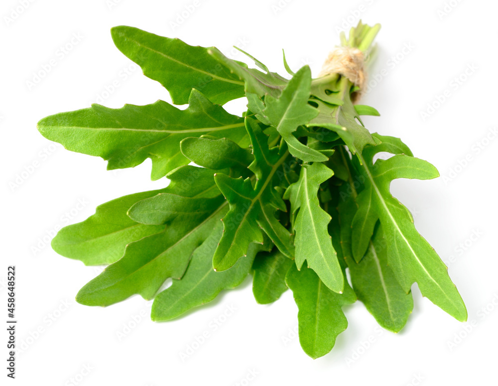 Obraz premium bunch of fresh rocket leaves isolated on white background