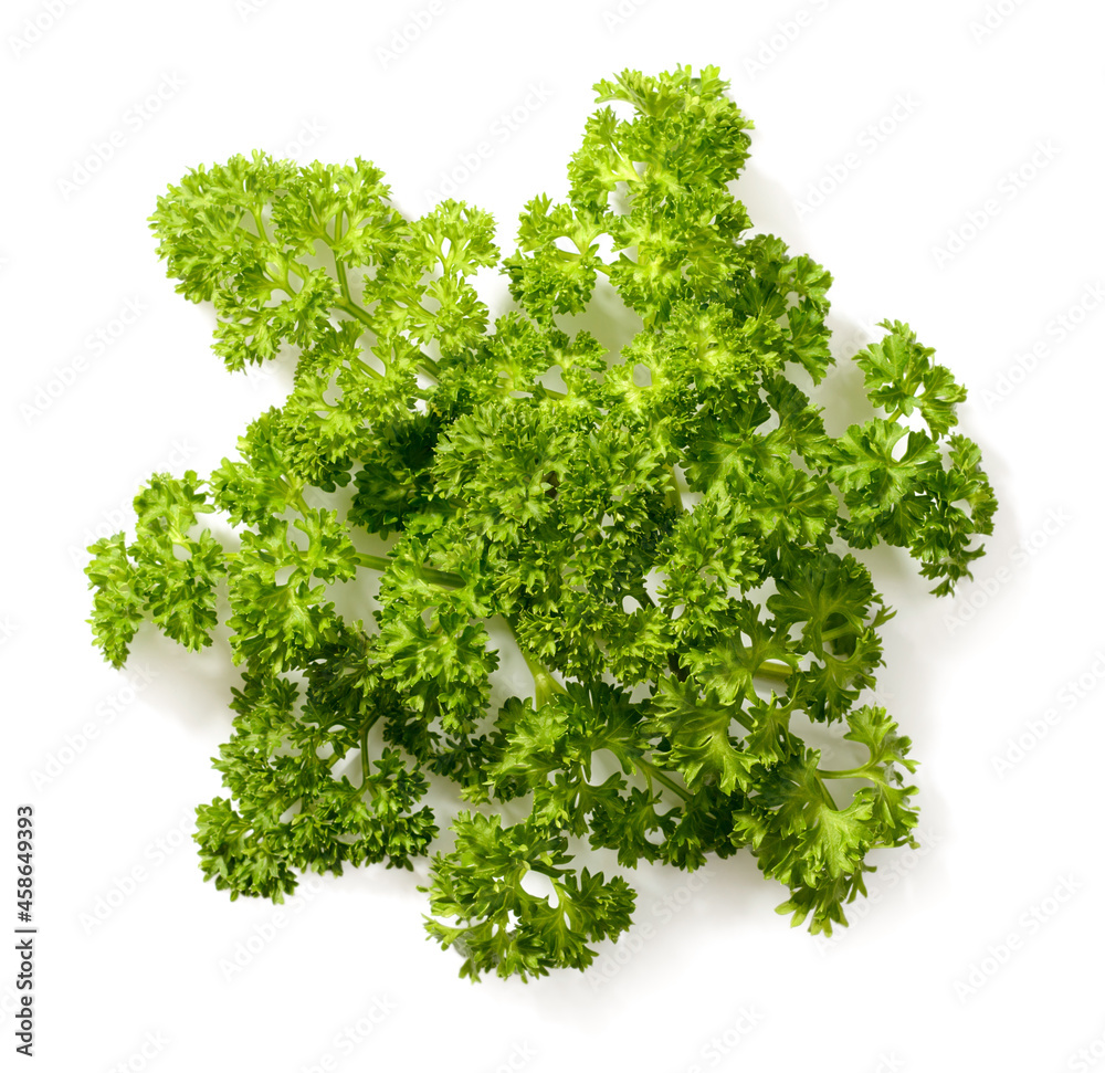 Obraz premium curly parsley isolated on the white background, top view