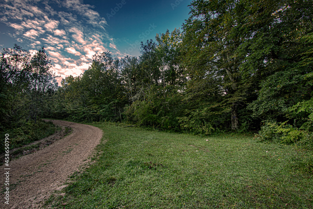 Obraz premium path in the mountains