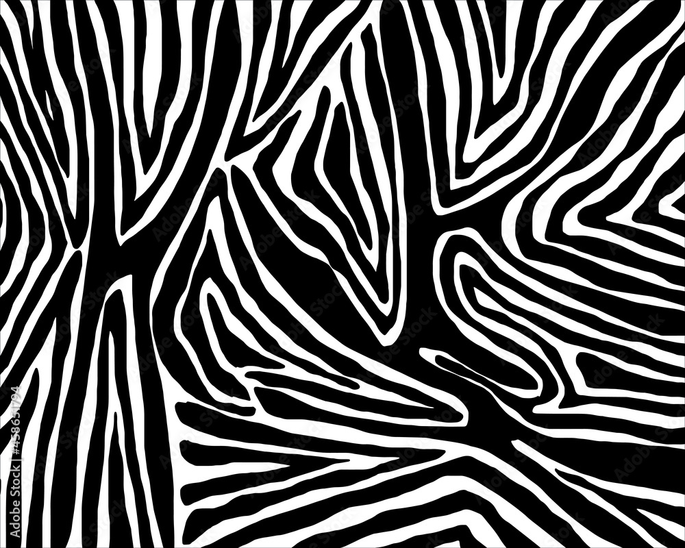 Vector zebra skin texture.