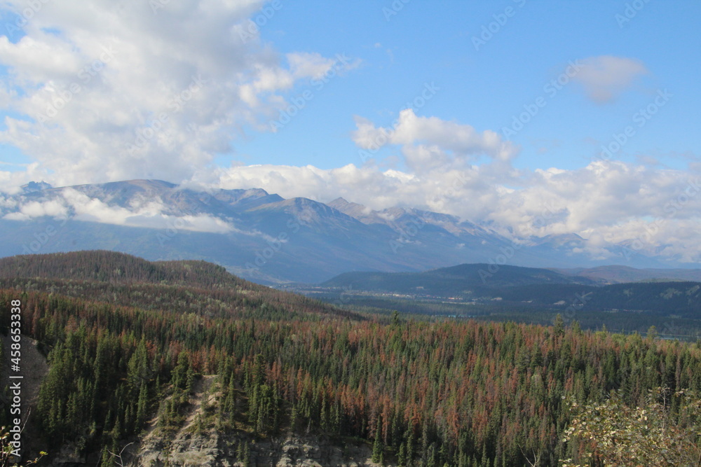 The Blue Ridge, Jasper National Park, Alberta