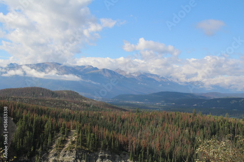 The Blue Ridge, Jasper National Park, Alberta