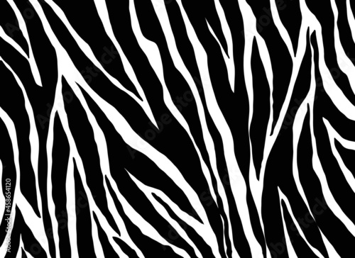 zebra pattern. Animals nature  background