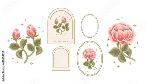 Vector feminine logo design template in trendy minimal style. Vintage orange rose bud, peony flowers and botanical leaf branch set. Emblem, symbols and icons for cosmetics, beauty and handmade product