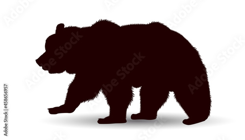 Wildlife bear. Silhouette of a large adult bear on a white background
