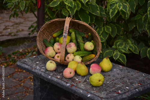 autumn fruits