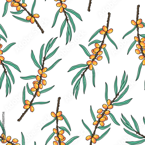 vector seamless pattern with drawing sea buckthorn branch with berries and leaves,Hippophae rhamnoides , hand drawn illustration
