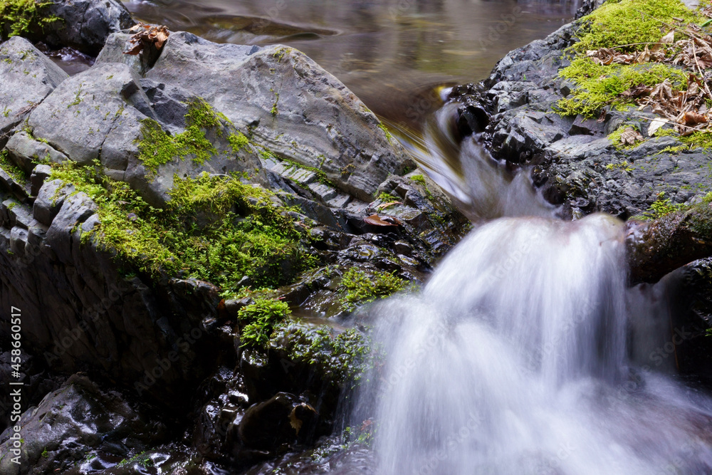 waterfall in the forest waterfall in the forest