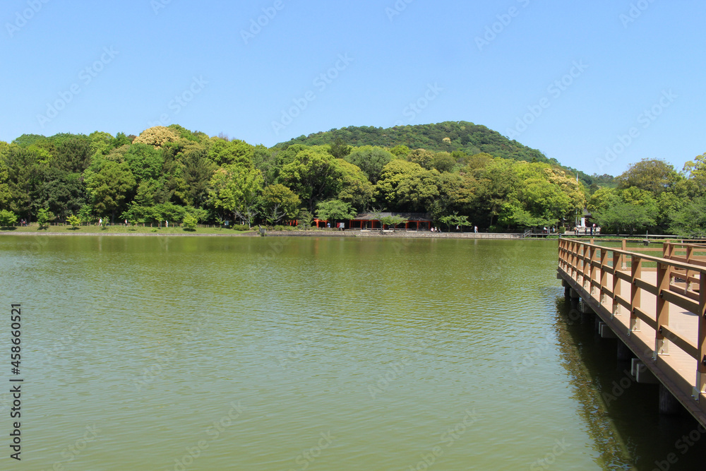 橿原神宮の深田池