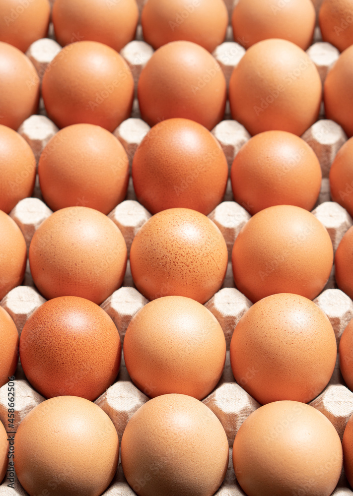 Farm eggs in their cardboard packaging. Farm eggs in their cardboard packaging.