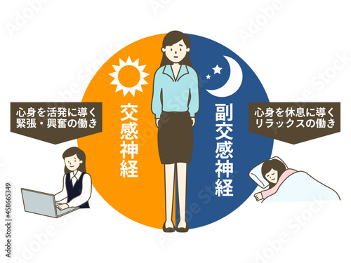 交感神経と副交感神経の働きとバランス