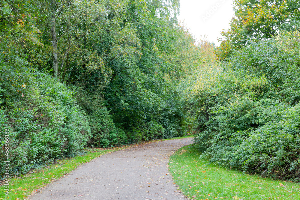 Footpath and trees in park