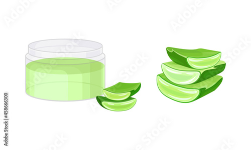 Sliced aloe vera plant and skin care cream set. Organic cosmetic product. Cosmetology and pharmacy component vector illustration