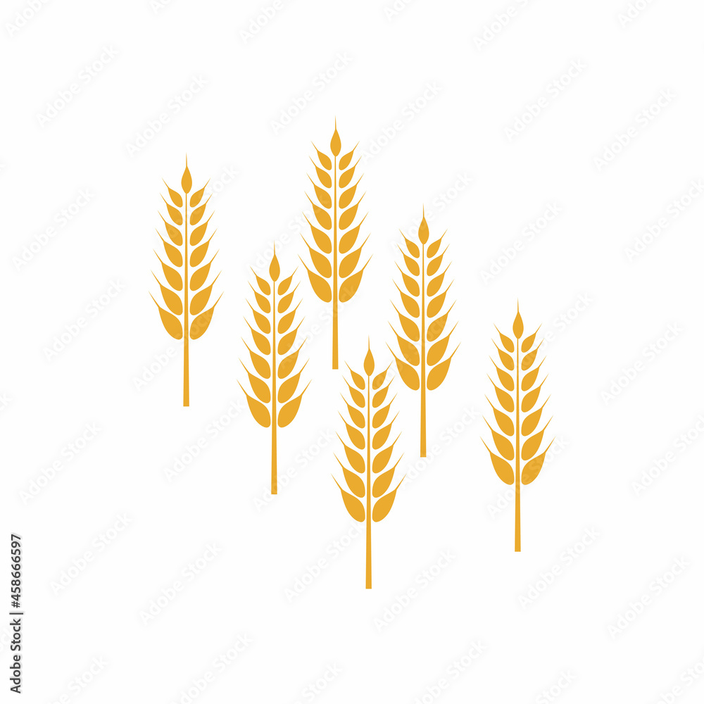 Agriculture wheat vector icon design