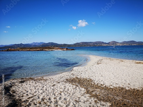 Wallpaper Mural Insel Tavolara Sardinien - Naturparadies und Traumstrände mit rosa Sand Torontodigital.ca