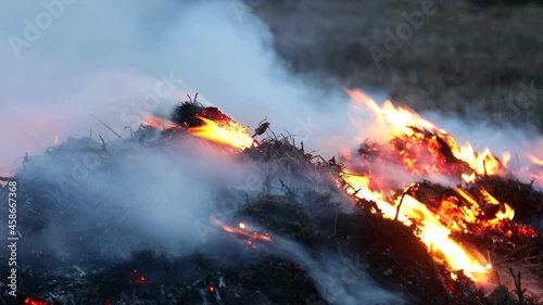 Last year's dry grass burns, smolders and smokes closeup photo