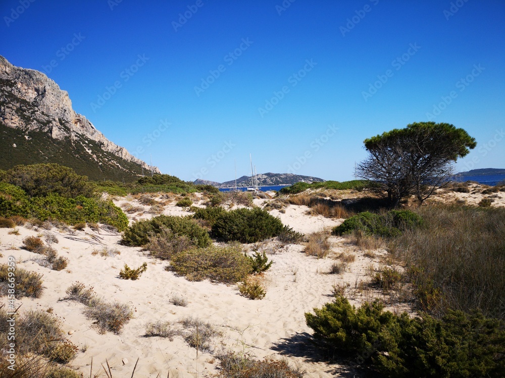 Insel Tavolara Sardinien - Naturparadies und Traumstrände mit rosa Sand