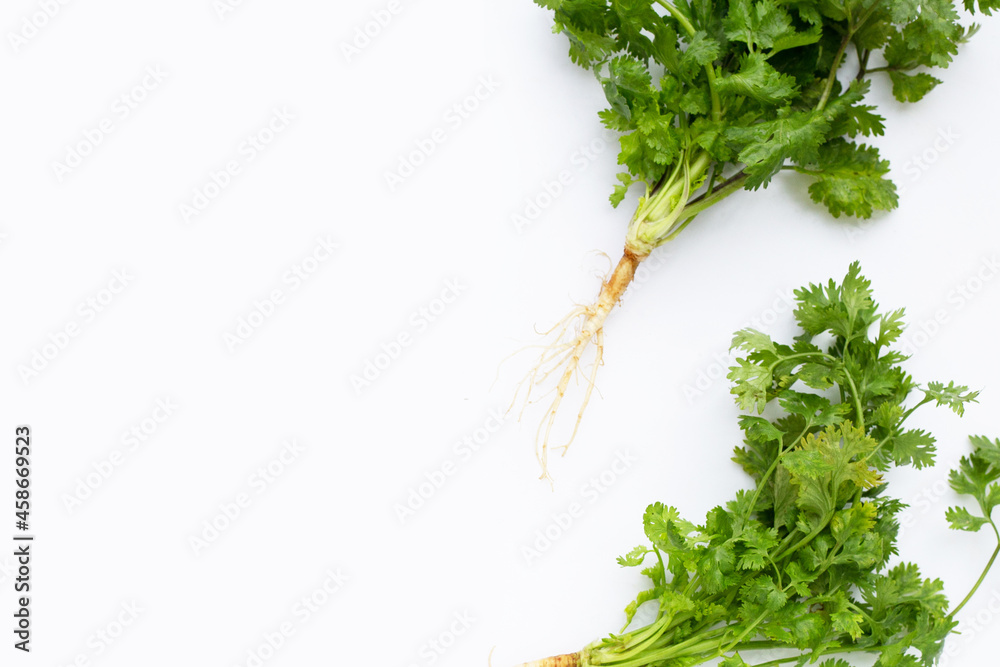 Fresh coriander on white background. Fresh coriander on white background.