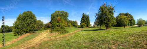 Auf einer Streuobstwiese im Norden von Frankfurt am Main
