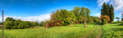 Auf einer Streuobstwiese im Norden von Frankfurt am Main