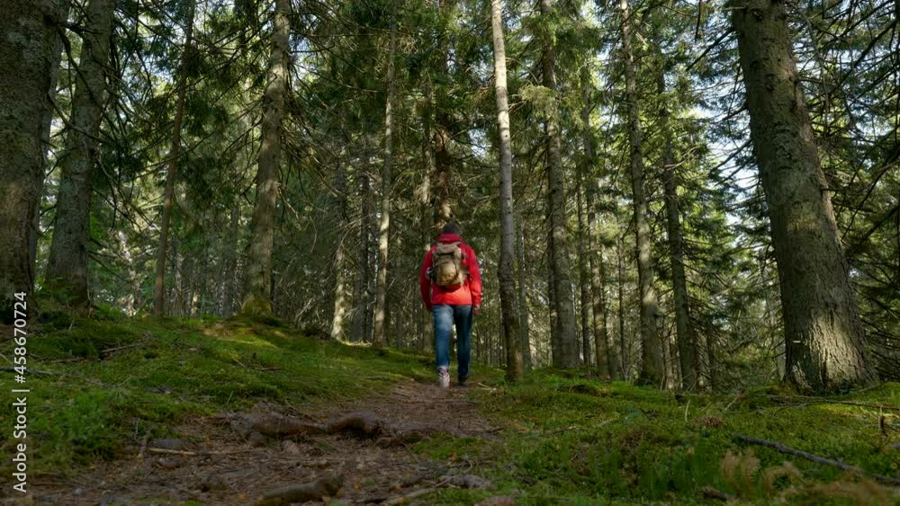 Tourist guy with a backpack walks along a trail in a beautiful forest Tourist guy with a backpack walks along a trail in a beautiful forest